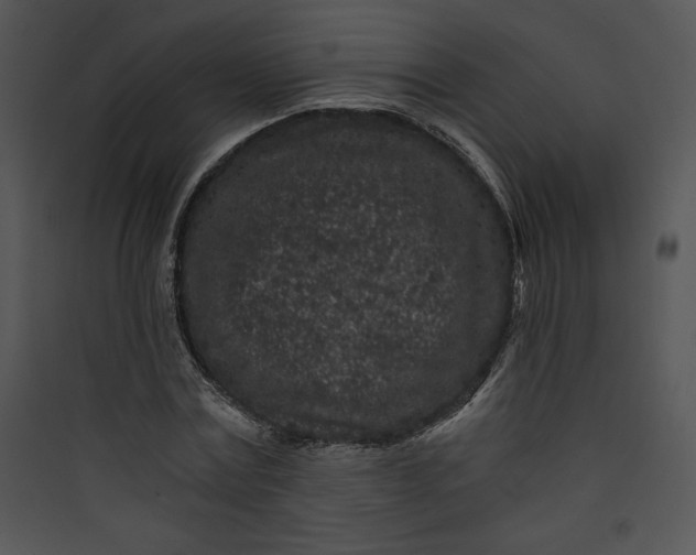 X0000089750779200707121340