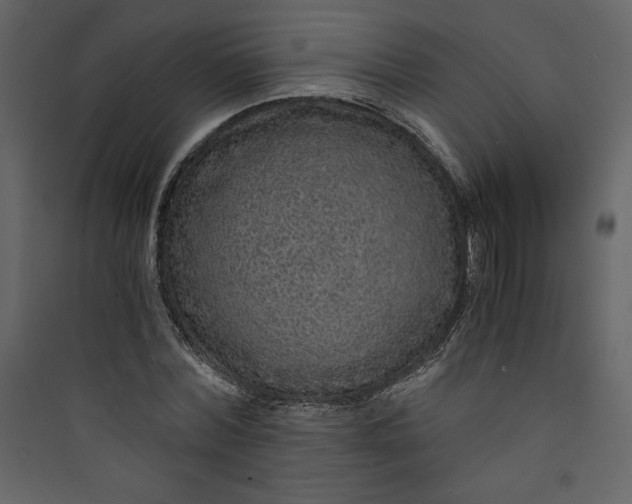 X0000089750780200707121340