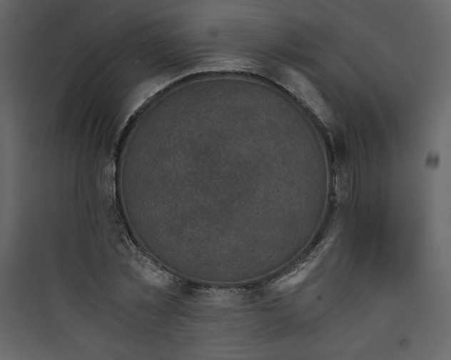 X0000089750781200707121340