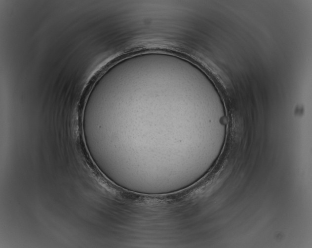 X0000089750782200707121340