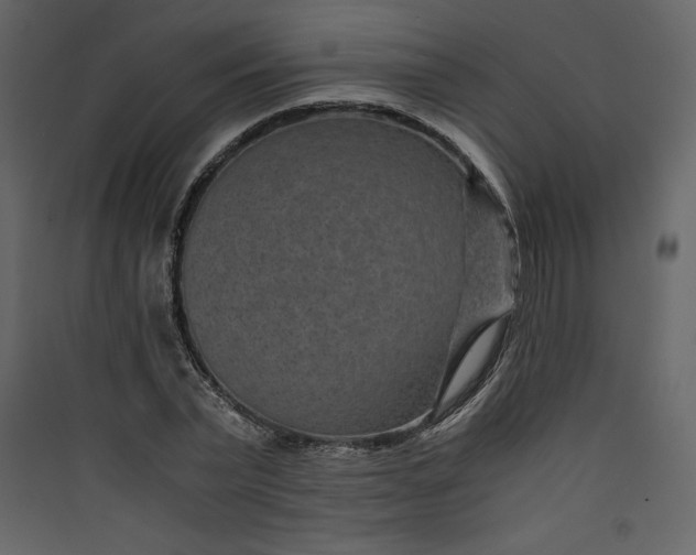 X0000089750783200707121340