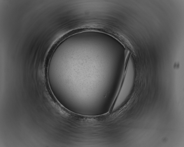 X0000089750784200707121340