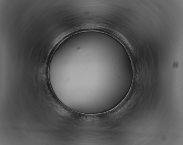 X0000089750786200707121340