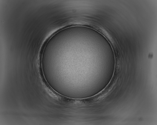 X0000089750787200707121340