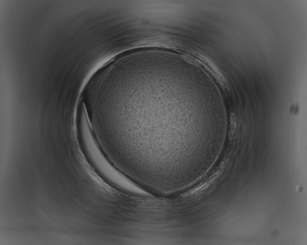 X0000089750788200707121340