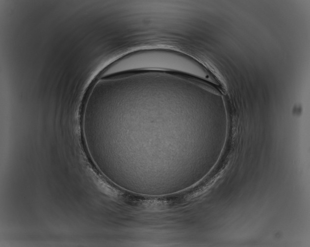 X0000089750789200707121340