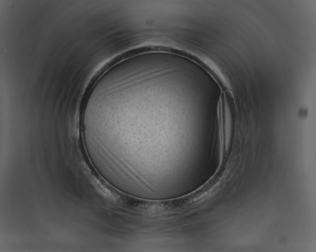 X0000089750791200707121340