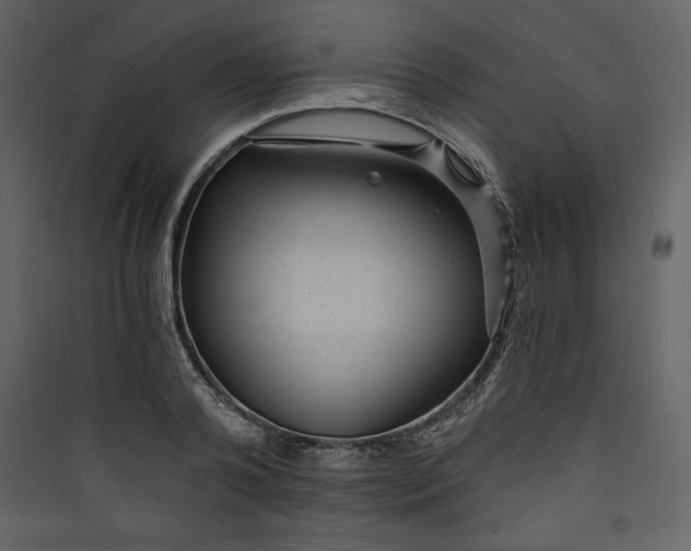 X0000089750792200707121340