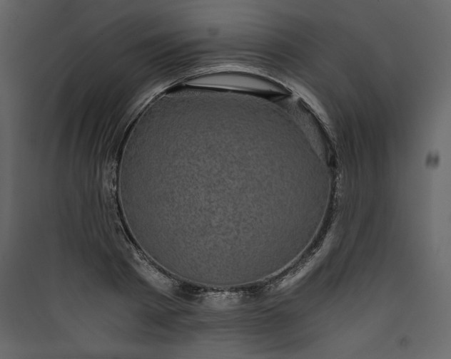 X0000089750793200707121340