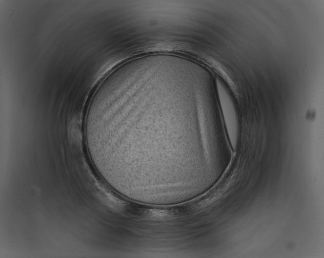 X0000089750794200707121340