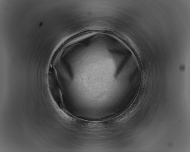 X0000089750795200707121340