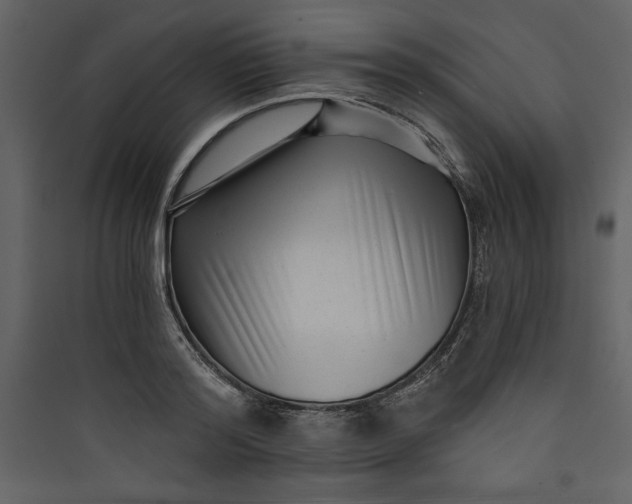 X0000089750796200707121340