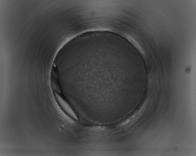 X0000089750797200707121340