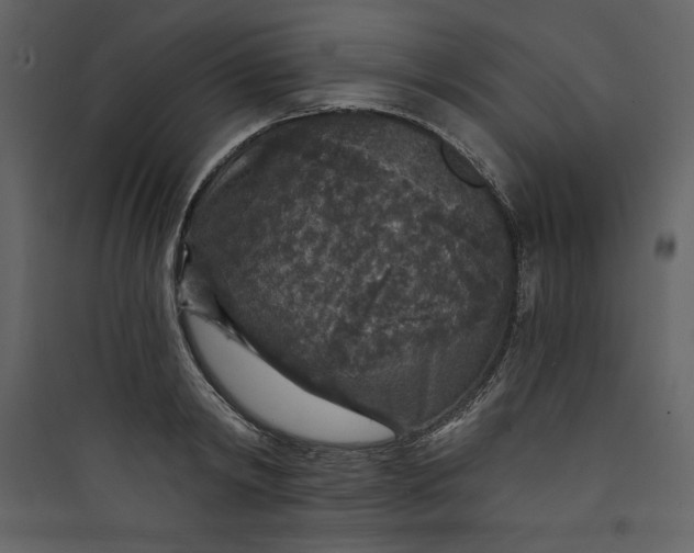 X0000089750798200707121340