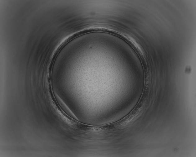 X0000089750799200707121340