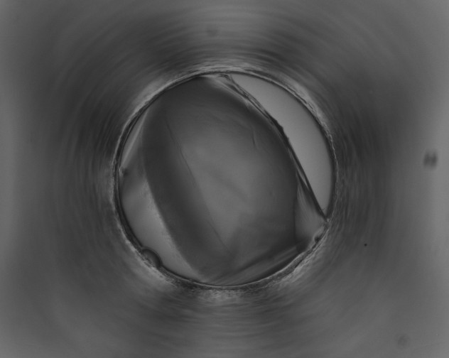 X0000089750802200707121340