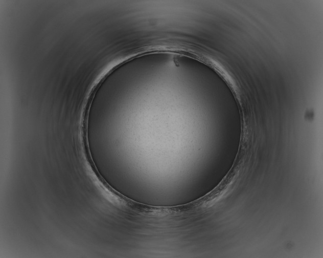 X0000089750803200707121340