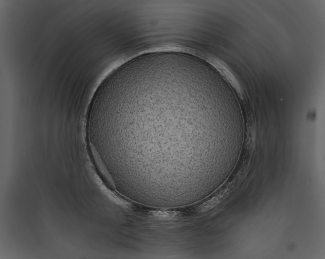 X0000089750805200707121340