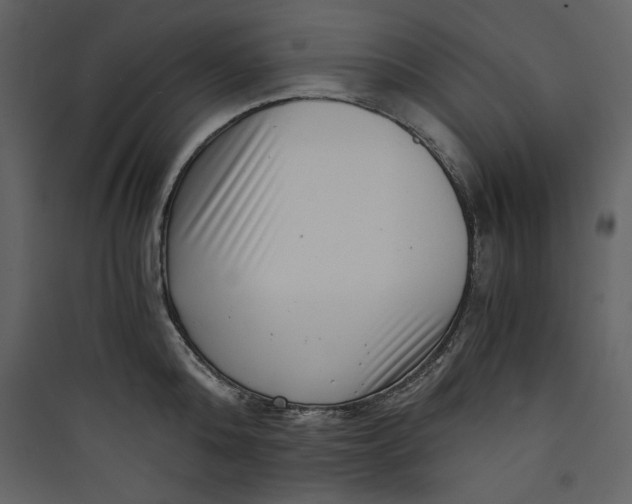 X0000089750808200707121340