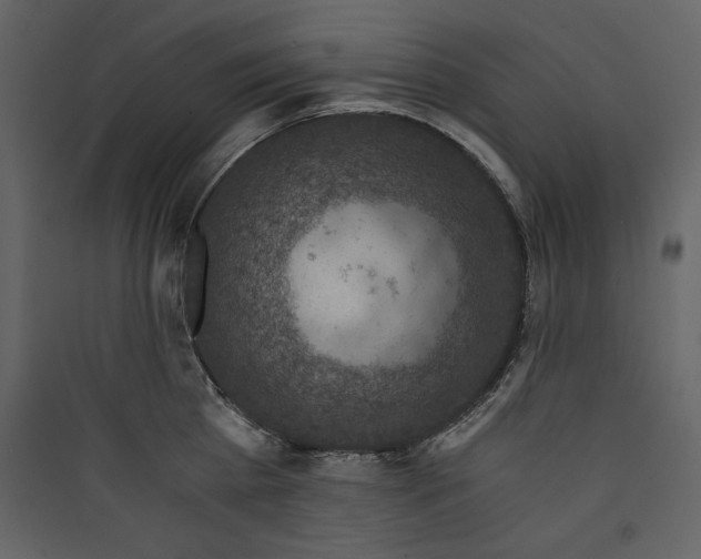 X0000089750809200707121340