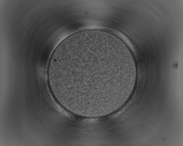 X0000089750810200707121340