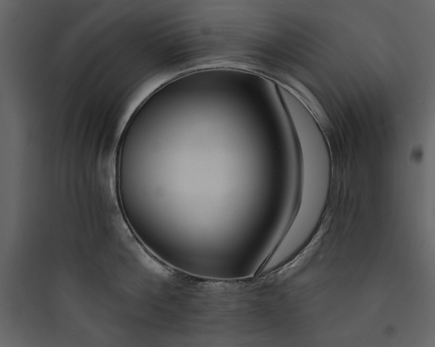 X0000089750812200707121340