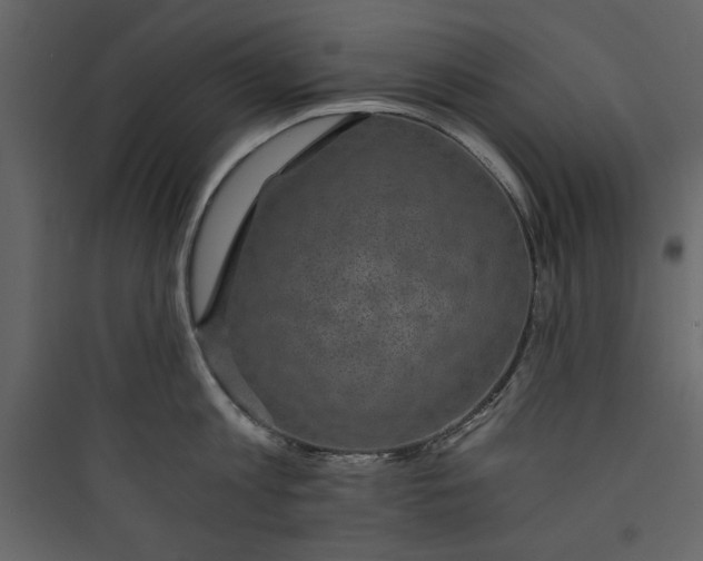 X0000089750813200707121340