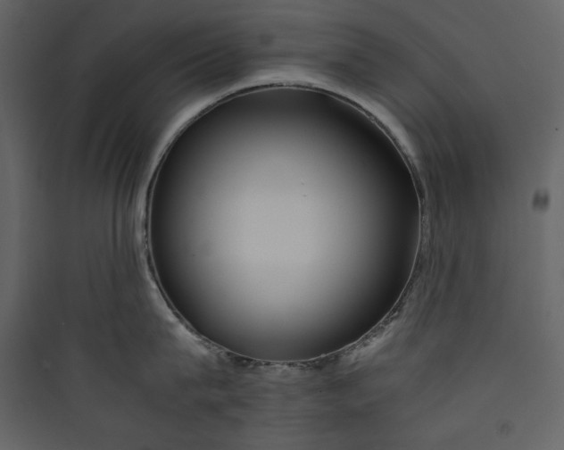 X0000089750815200707121340