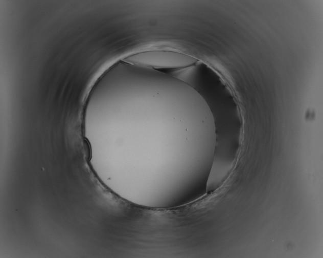 X0000089750816200707121340