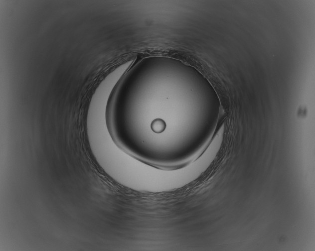 X0000089750818200707121339