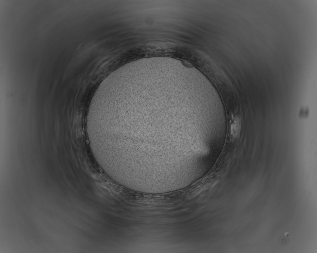 X0000089750819200707121339