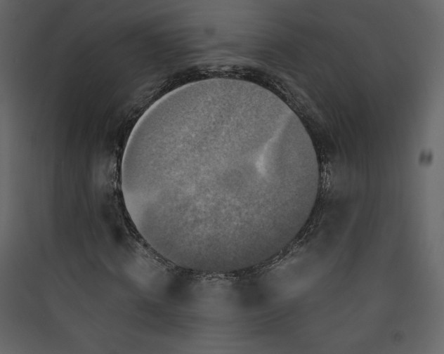 X0000089750820200707121339