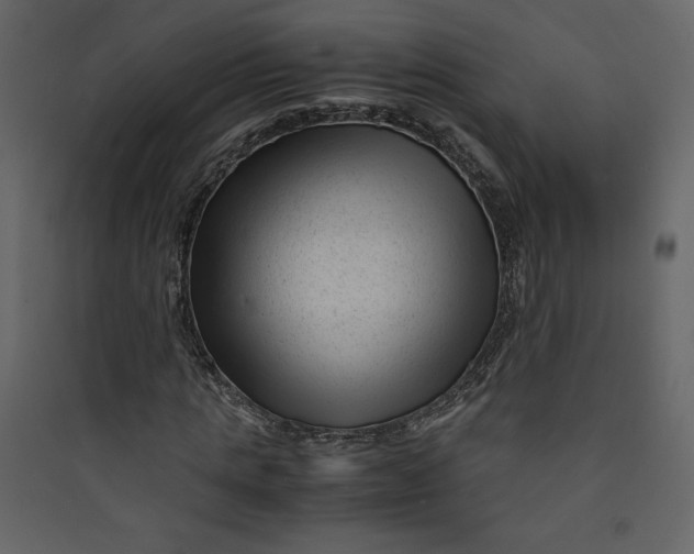 X0000089750821200707121339