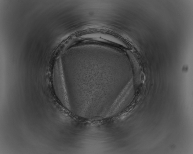 X0000089750822200707121339