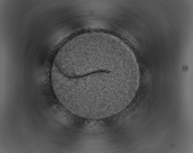 X0000089750824200707121339