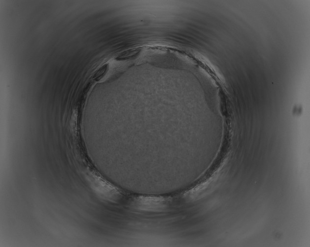 X0000089750825200707121339