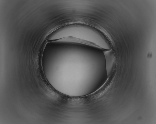 X0000089750826200707121339