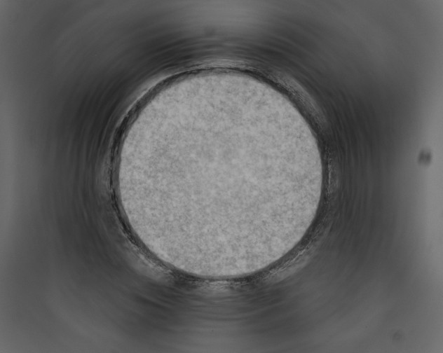 X0000089750828200707121339