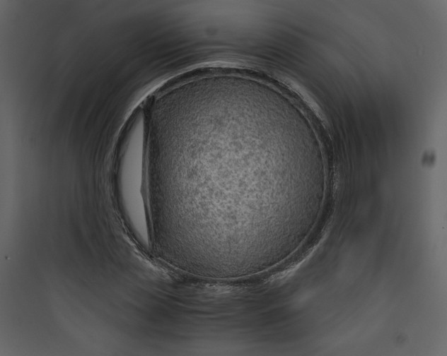 X0000089750829200707121339