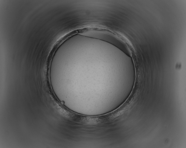 X0000089750831200707121339