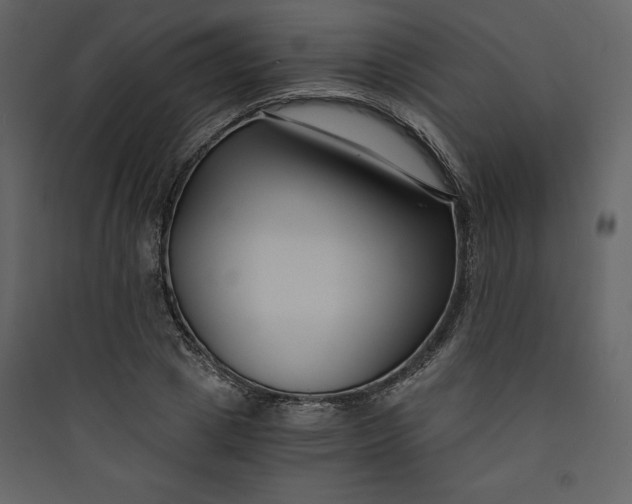 X0000089750833200707121339