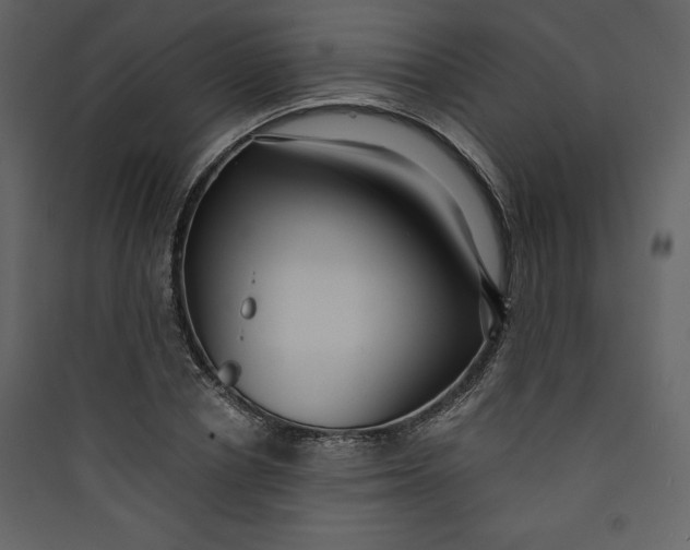 X0000089750834200707121339