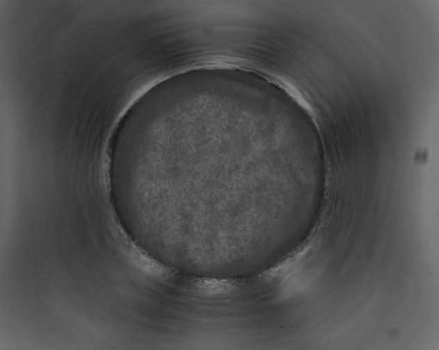 X0000089750835200707121339