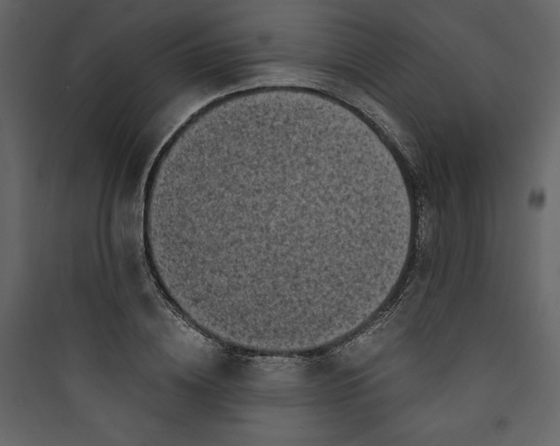 X0000089750836200707121339