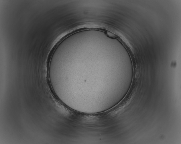 X0000089750837200707121339