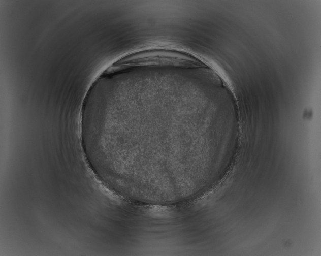 X0000089750839200707121339