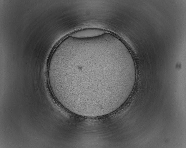 X0000089750840200707121339