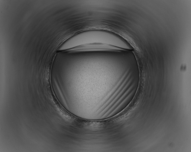 X0000089750841200707121339