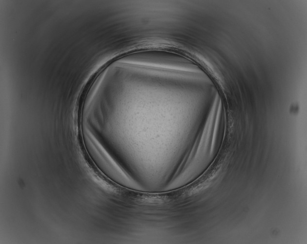 X0000089750843200707121339