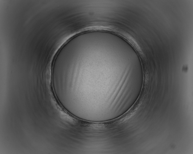 X0000089750844200707121340